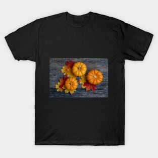 A Autumn Harvest Flat Lay T-Shirt